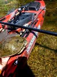 Jackson Kayak