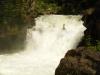 PDX River Explorers