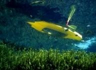 kiwi-clear-kayak Atlantis