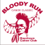 bloodyrun@raystowncanoeclub.com