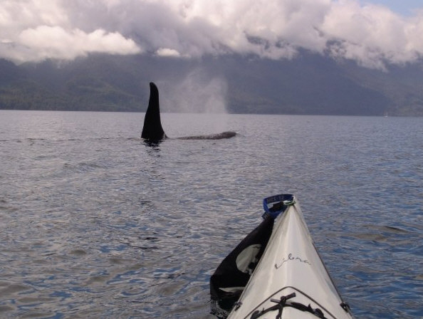 San Juan ORCA Challenge