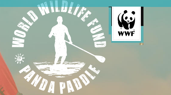 Panda Paddle
