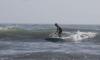 NC Paddle Surfer