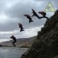 Some of my friends do acctually jump of cliffs... and because their doing it I do it to