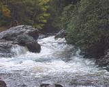 Success on the Chattooga Headwaters - in_pr1115127908-5090106893017
