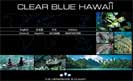 Clear Blue Hawaii - brands_2185