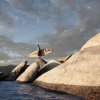 Wet Woody Resort - _wetwoody4-small-1346441291